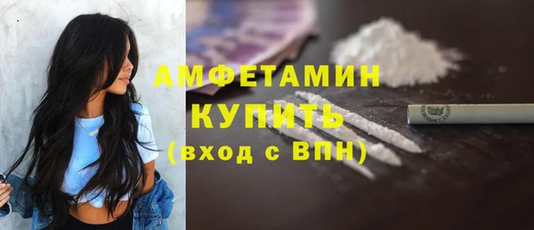 индика Верхний Тагил